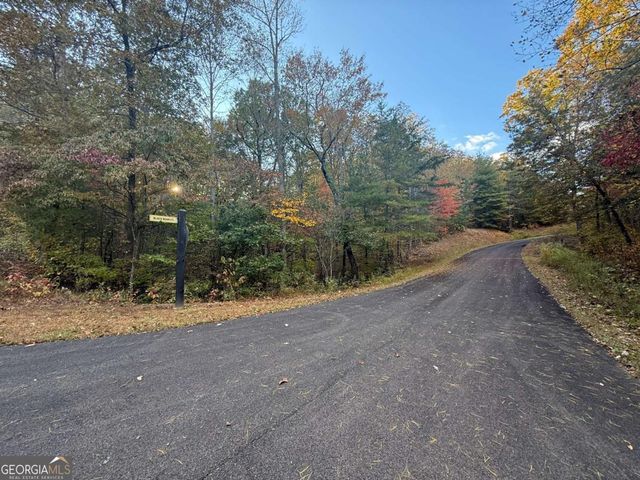 0 Black Bear Court, Ellijay, GA 30536