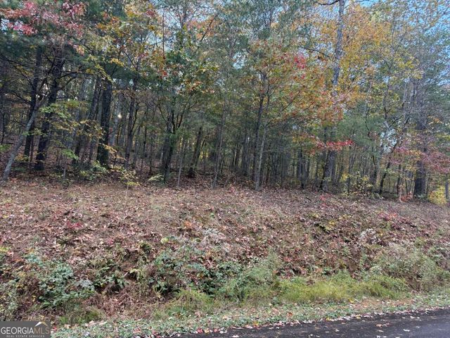 0 Black Bear Court, Ellijay, GA 30536