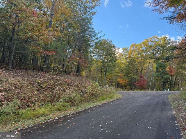 0 Black Bear Court, Ellijay, GA 30536