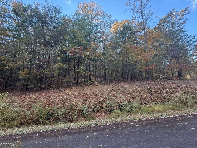 0 Black Bear Court, Ellijay, GA 30536