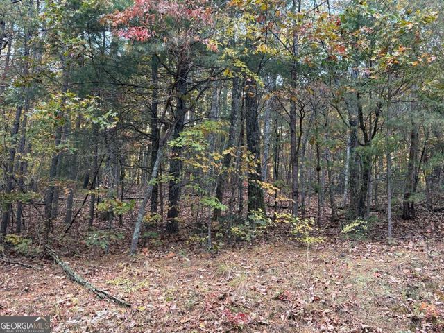 0 Black Bear Court, Ellijay, GA 30536