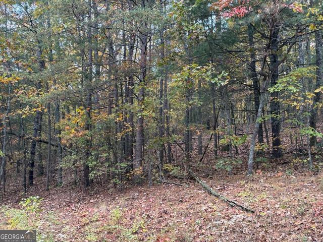 0 Black Bear Court, Ellijay, GA 30536