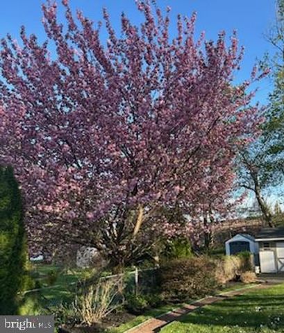 3 MAPLE AVE, Paoli, PA 19301