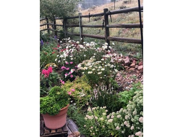 17284 W County Road 74e Hwy, Red Feather Lakes, CO 80545