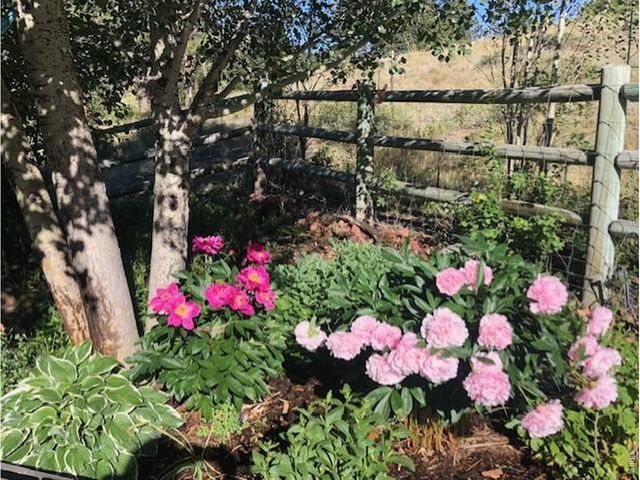 17284 W County Road 74e Hwy, Red Feather Lakes, CO 80545