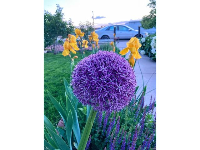 6750 Irving St, Denver, CO 80221