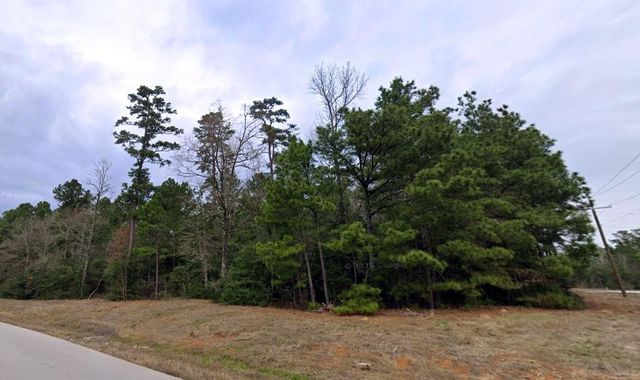 5-6-228 Dipping Vat Road, Huntsville, TX 77340