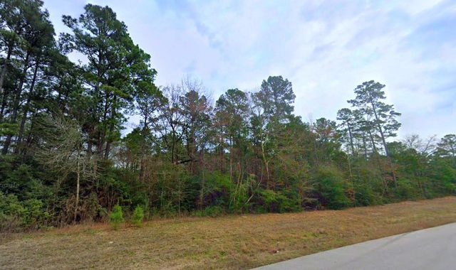 5-6-228 Dipping Vat Road, Huntsville, TX 77340