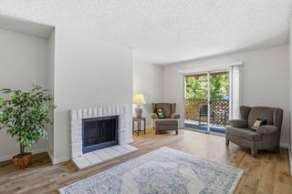 259 N Capitol Avenue 291, San Jose, CA 95127