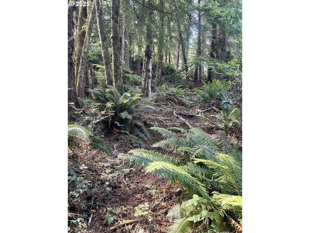 20th Ln, Coos Bay, OR 97420