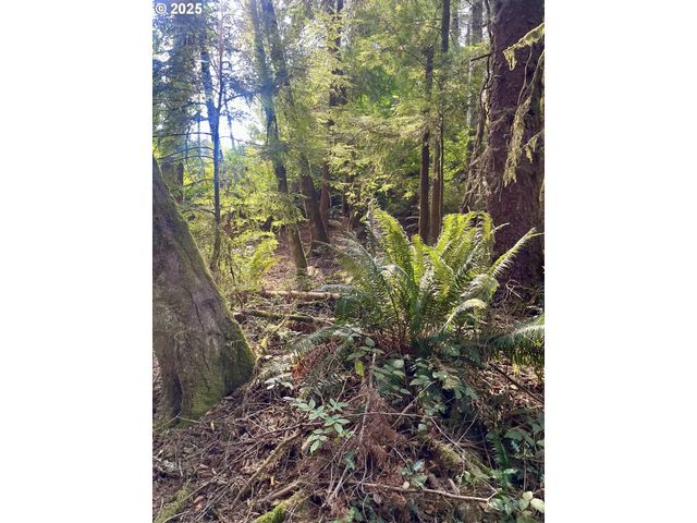 20th Ln, Coos Bay, OR 97420