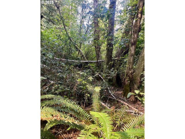 20th Ln, Coos Bay, OR 97420