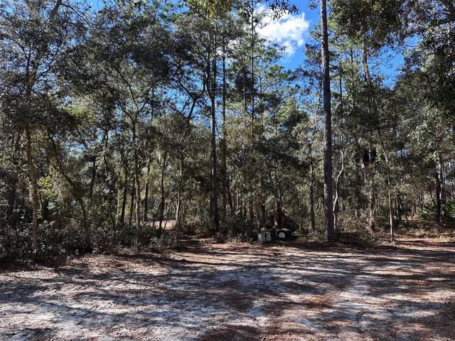 3760 SE COUNTY ROAD 337, Morriston, FL 32668