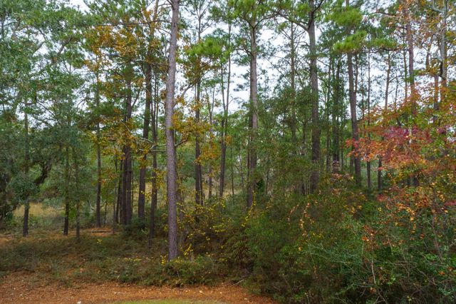 229 Slipper Shell Court, Mount Pleasant, SC 29464