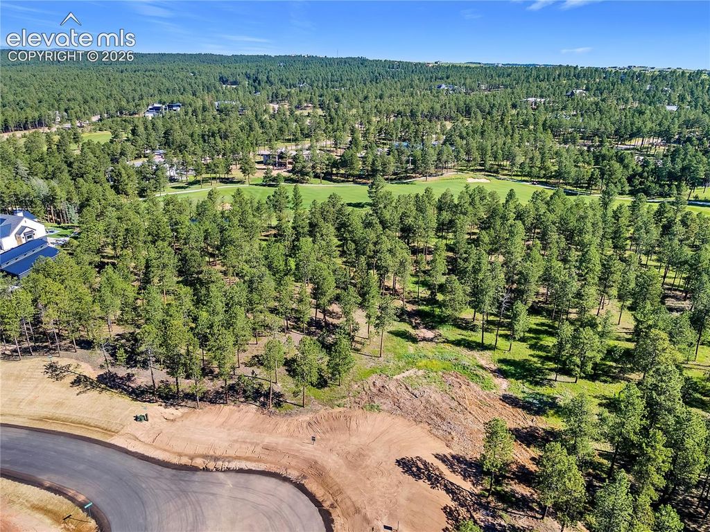 14681 Quartz Creek Drive, Colorado Springs, CO 80908 — photo 3