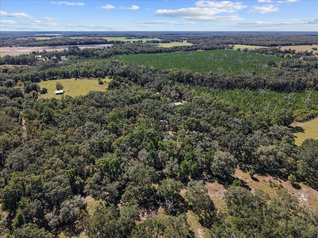 966 NE 818TH STREET, Old Town, FL 32680