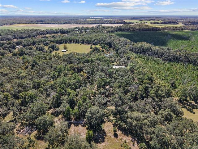 966 NE 818TH STREET, Old Town, FL 32680