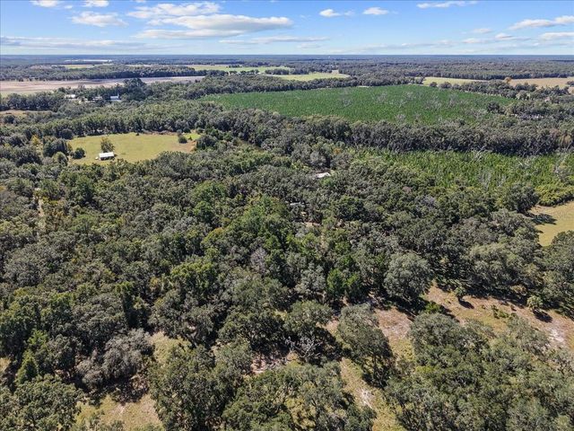 966 NE 818TH STREET, Old Town, FL 32680