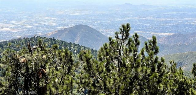 1834 Nob Hill, Running Springs, CA 92382