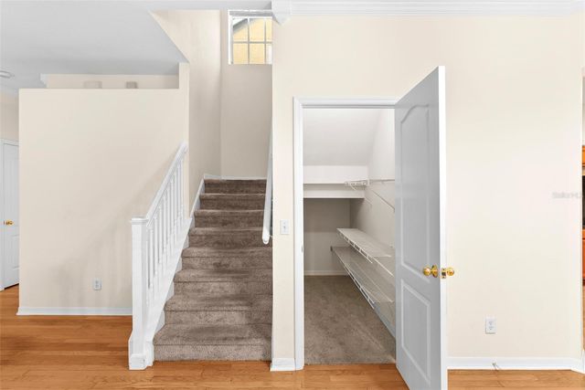 10806 SPRING MOUNTAIN PLACE, Tampa, FL 33626