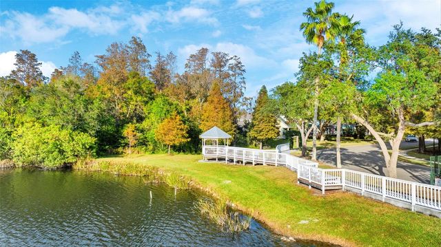 10806 SPRING MOUNTAIN PLACE, Tampa, FL 33626