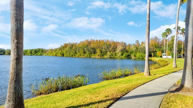 10806 SPRING MOUNTAIN PLACE, Tampa, FL 33626