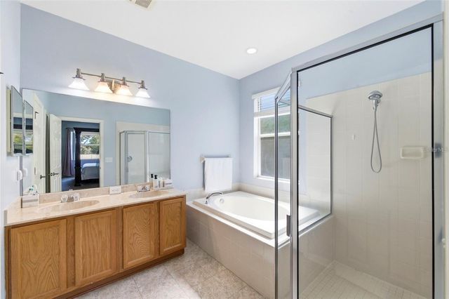 6823 GREEN HERON DRIVE, Wesley Chapel, FL 33545