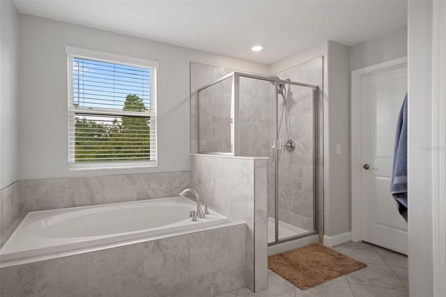8755 FLOURISH DRIVE, Land O Lakes, FL 34637