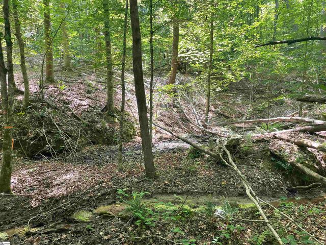 00 Nimmons Bridge Road, Salem, SC 29676