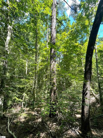 00 Nimmons Bridge Road, Salem, SC 29676