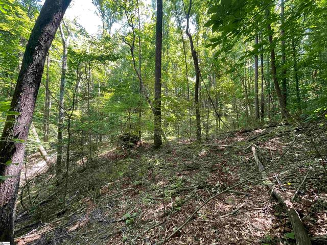 00 Nimmons Bridge Road, Salem, SC 29676