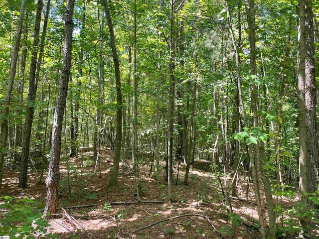 00 Nimmons Bridge Road, Salem, SC 29676