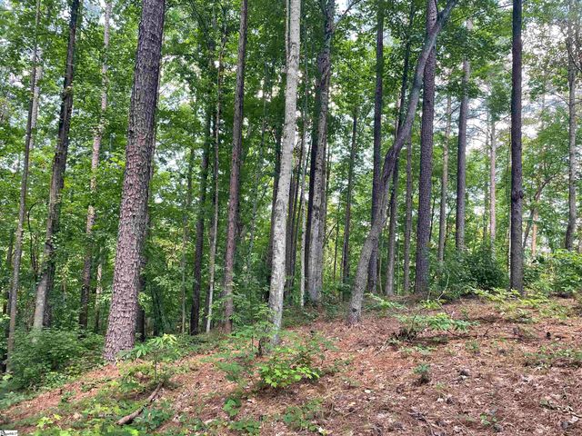 00 Nimmons Bridge Road, Salem, SC 29676