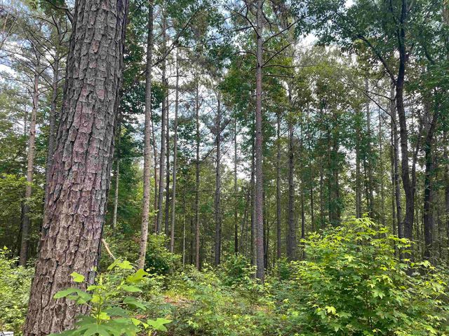00 Nimmons Bridge Road, Salem, SC 29676