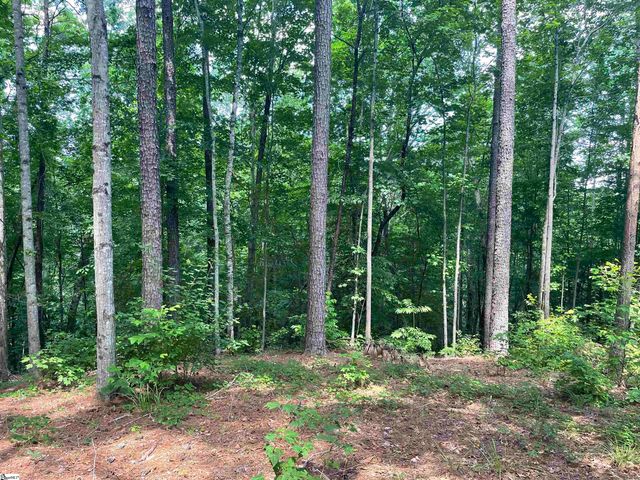00 Nimmons Bridge Road, Salem, SC 29676