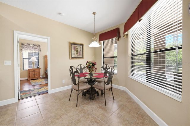 107 SILVER FALLS DR DRIVE, Apollo Beach, FL 33572