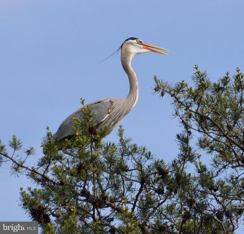 6049 PARKERS CREEK DR, Deale, MD 20751