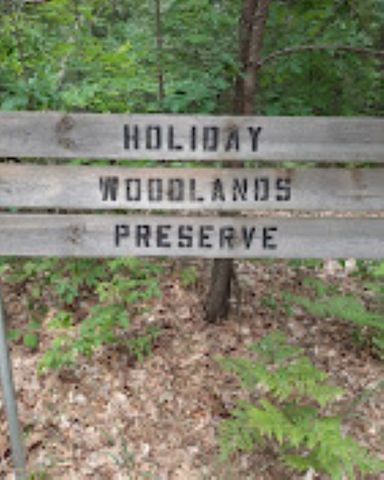 3794 Woodgate Drive, East Bay Twp, MI 49686