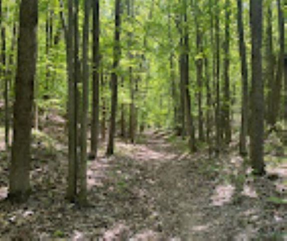 3794 Woodgate Drive, East Bay Twp, MI 49686