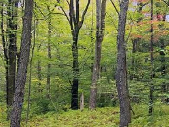 3794 Woodgate Drive, East Bay Twp, MI 49686