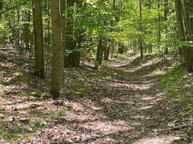 3794 Woodgate Drive, East Bay Twp, MI 49686