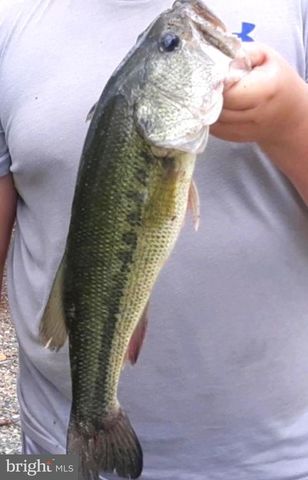 316 PLANTATION DR, Montross, VA 22520