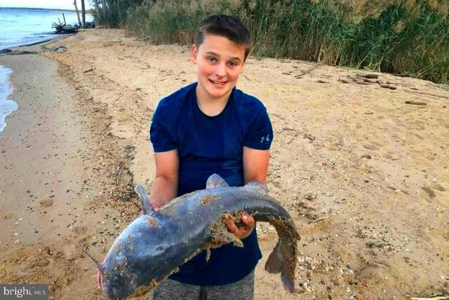 316 PLANTATION DR, Montross, VA 22520