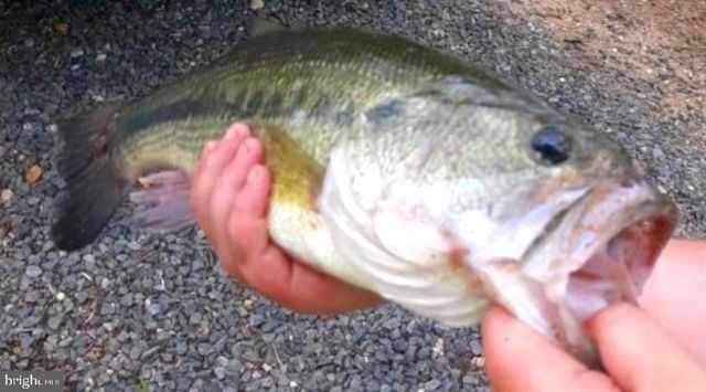 316 PLANTATION DR, Montross, VA 22520