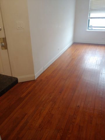 307 E 50th Street A, Chicago, IL 60615