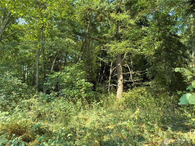 0 Small Lane, Coupeville, WA 98239