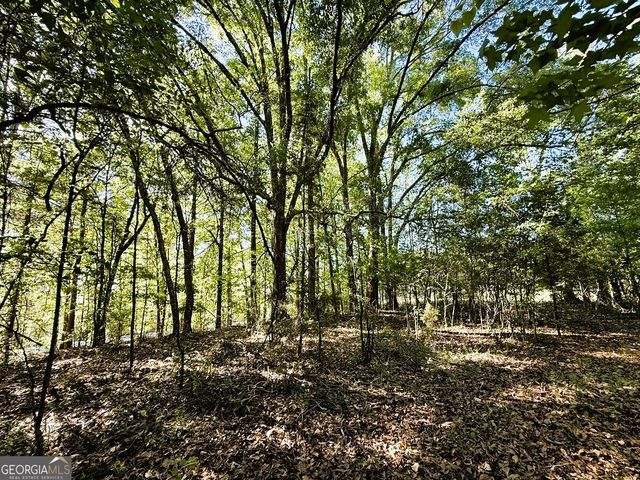 4655 Hwy 29, Royston, GA 30662