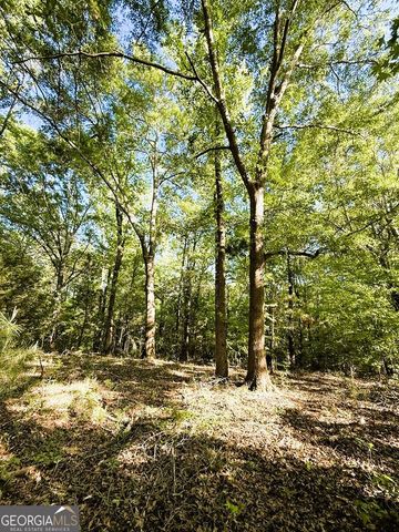4655 Hwy 29, Royston, GA 30662