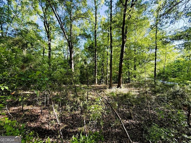 4655 Hwy 29, Royston, GA 30662