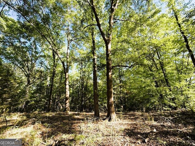 4655 Hwy 29, Royston, GA 30662